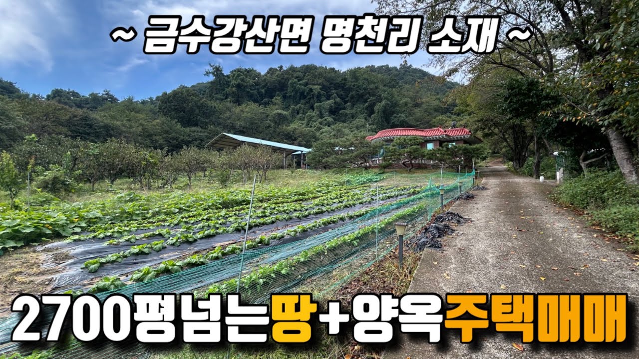 [No.6-61] 성주 주택+토지매매/금수강산면 명천리 주말농장 추천드리는 2750평 땅과 전원주택 매매