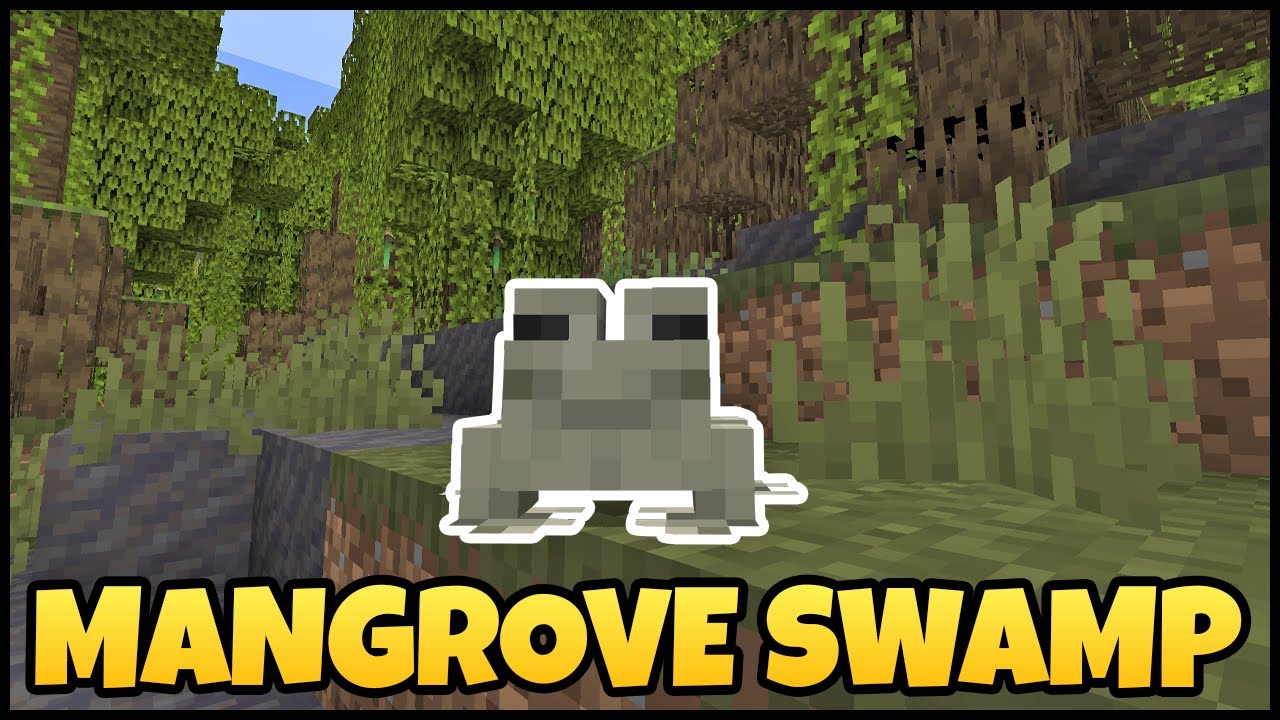 Where To Find MANGROVE SWAMP In MINECRAFT