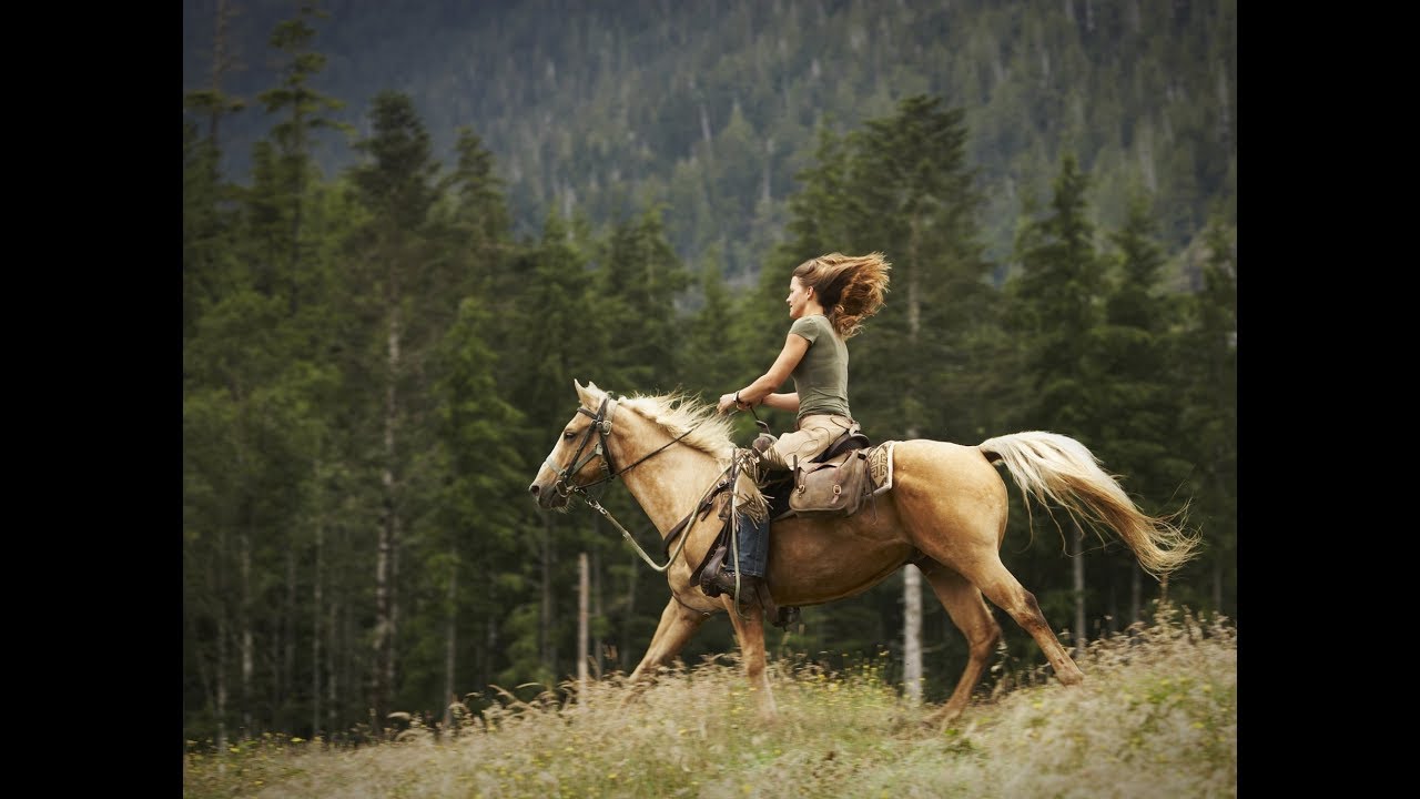 Way Down We Go || Equestrian Music Video