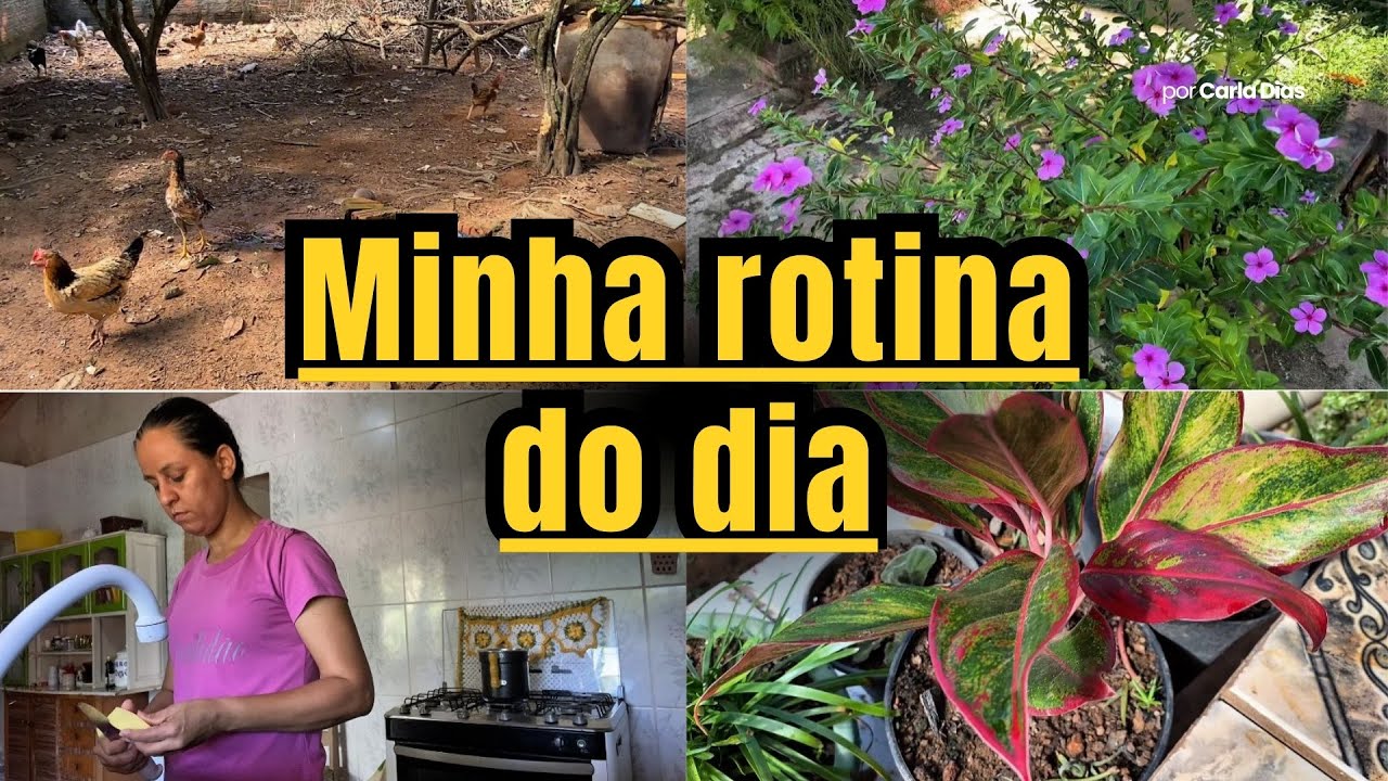 Dia comum, vida simples: casa, plantas e animais