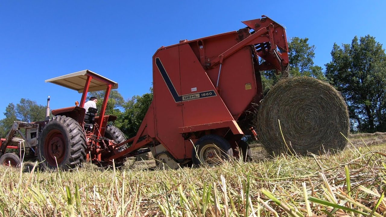 More Beautiful Hay!