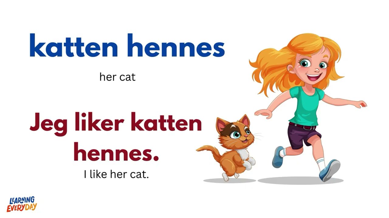 Learn Norwegian Fast | 1-Hour Full Beginner Tutorial
