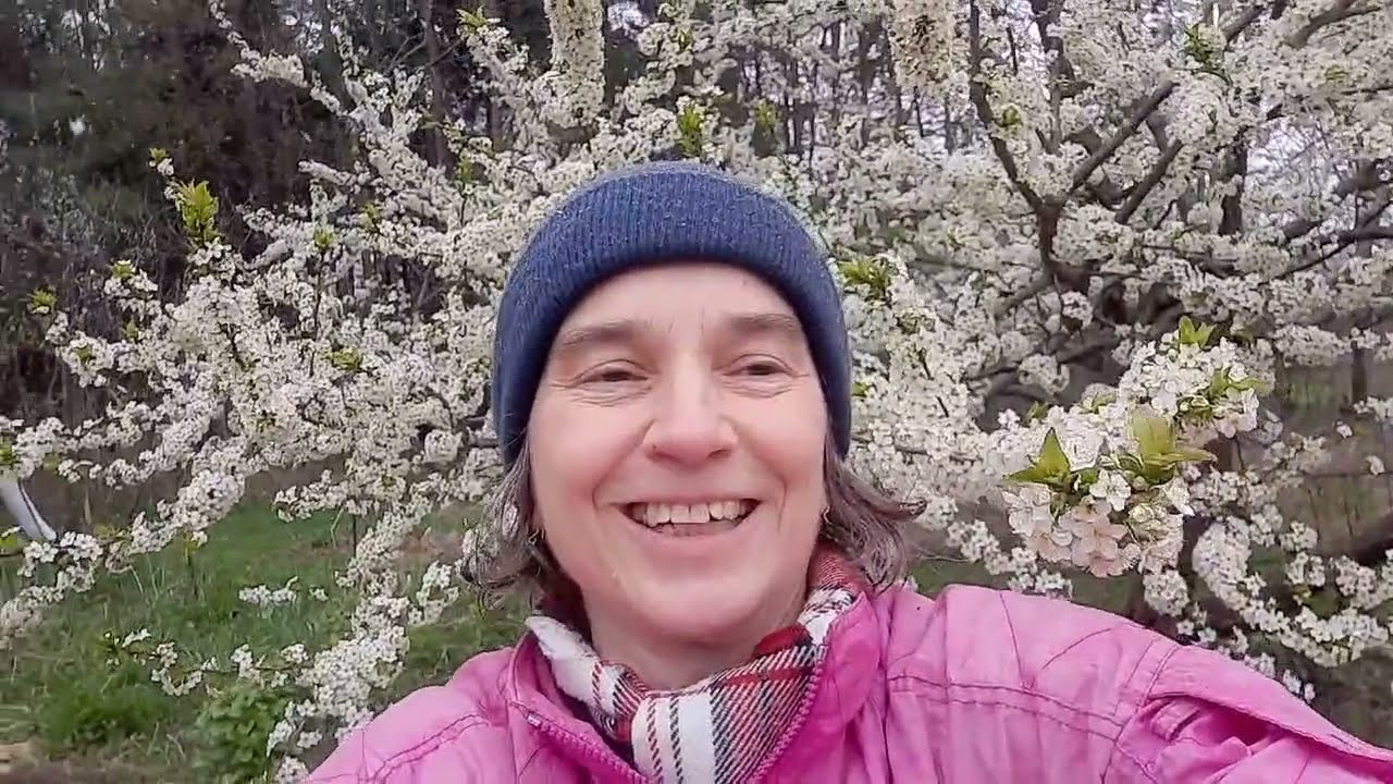 Invitation to two part natural beekeeping for beginners class on ZOOM, starting on Apr 28th 2021