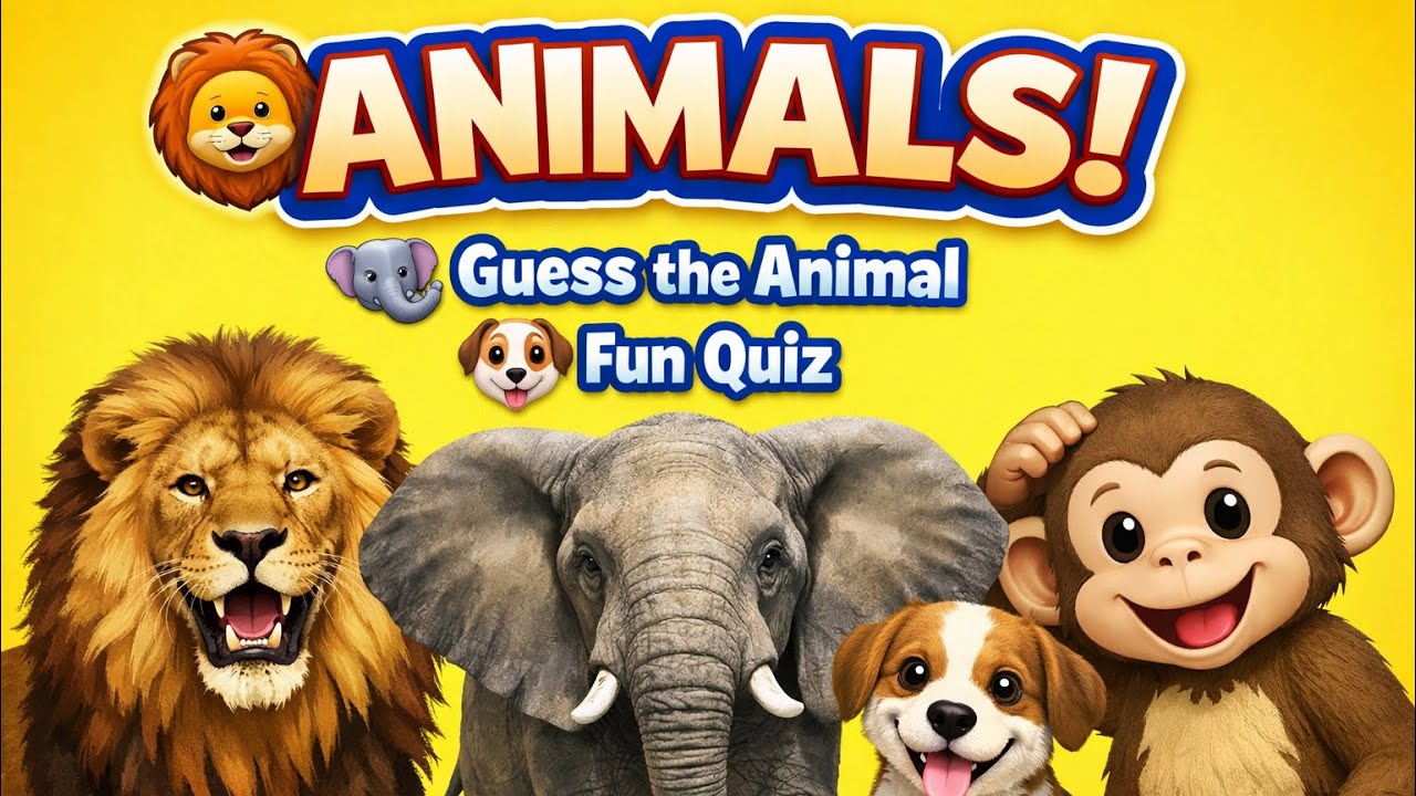 Let’s Learn About Animals 