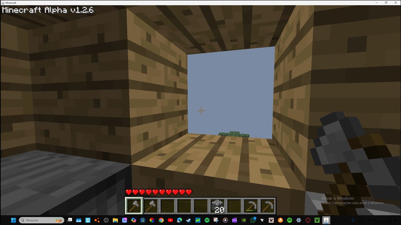 playing minecraft