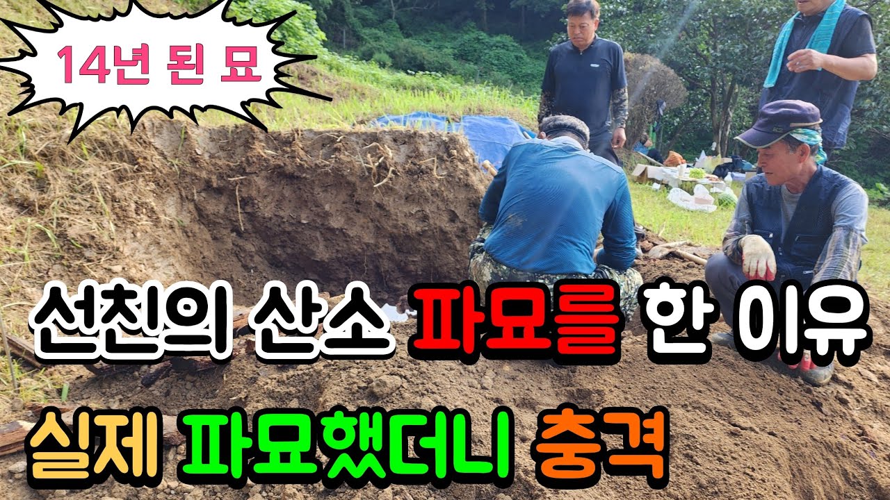 선친의 산소 파묘를 한 이유 실제 파묘했더니 모두가 충격