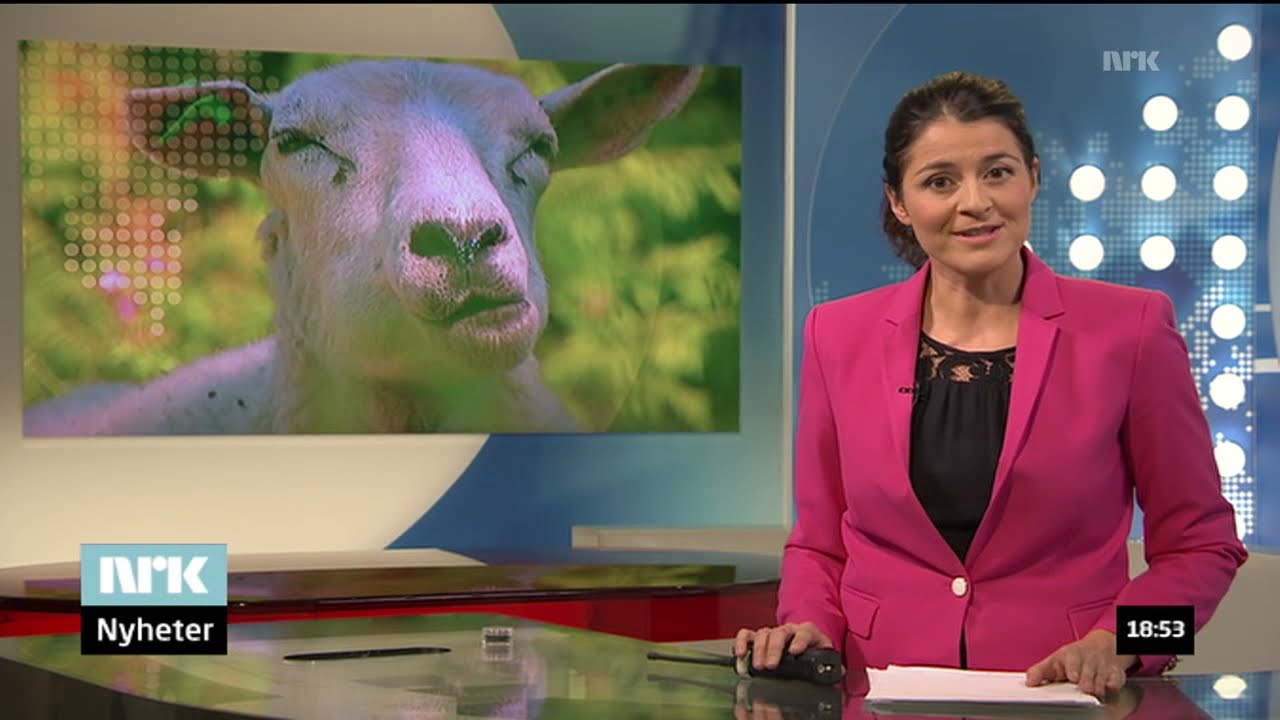 NRK om Funderud Antirust AS - Sauen er bilens beste venn