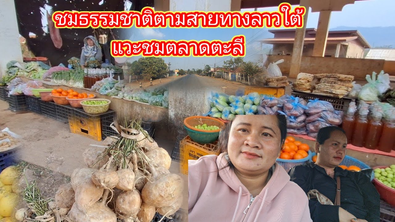 วิวธรรมชาติเส้นทางลาวใต้แวะชมตลาดตะลี22 กุมภาพันธ์ ค.ศ. 2026