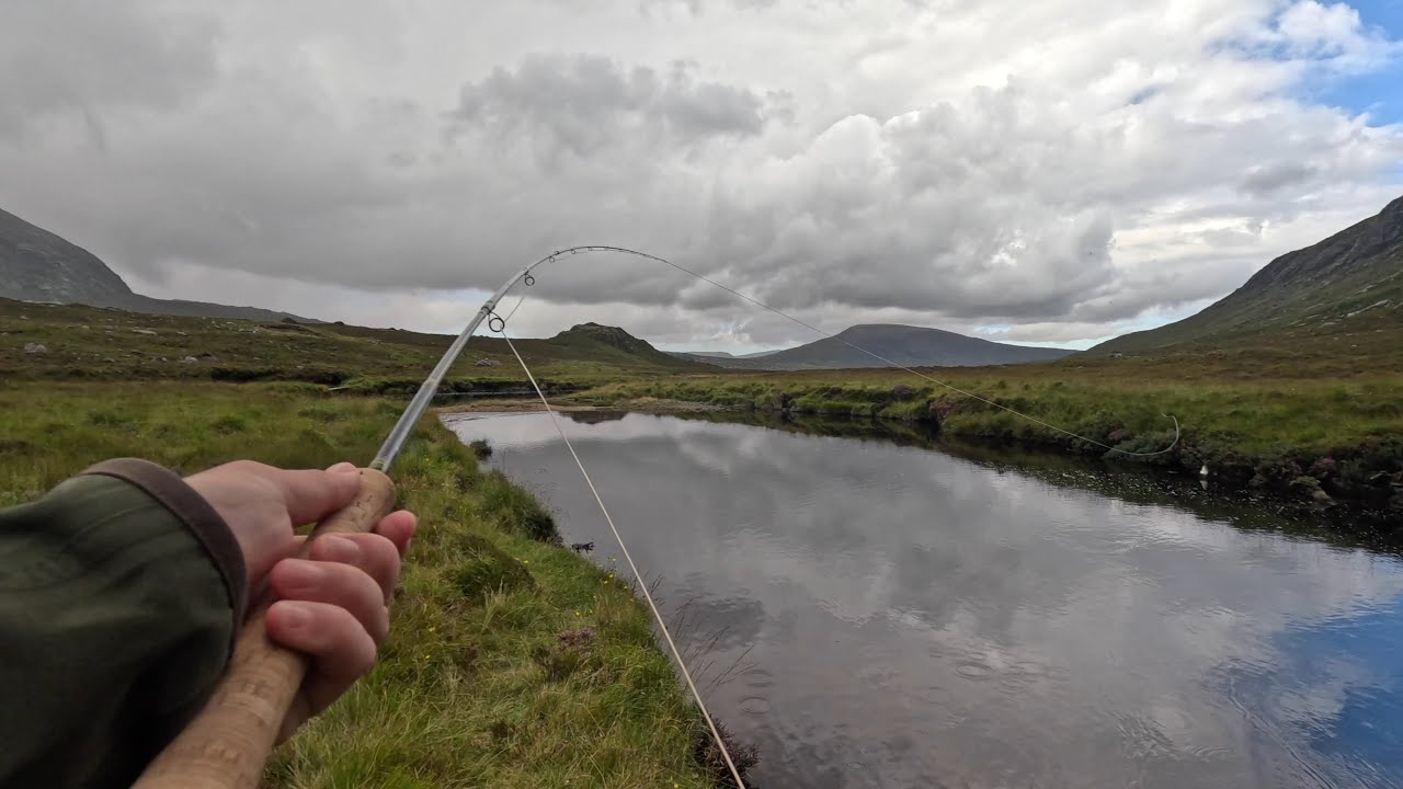 An Unlikely Salmon (August 2023)
