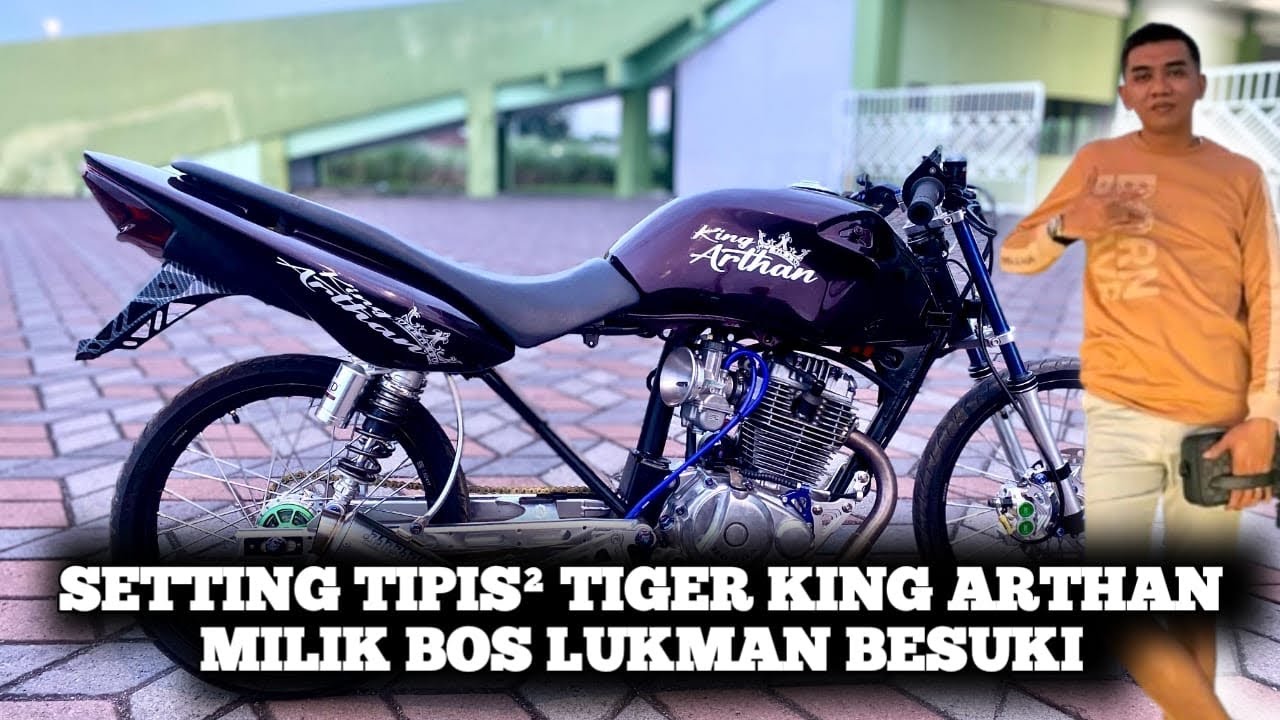 SETTING TIPIS TIPIS SAMBIL REYEN SPEK BARU TIGER KING ARTHAN MILIK BOS LUKMAN SITUBONDO BESUKI‼️