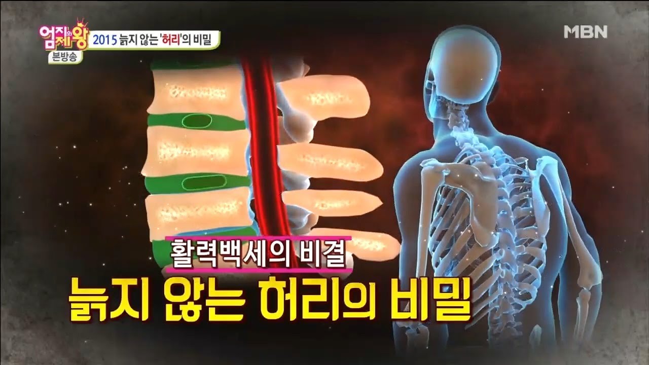 늙지 않는 '허리'의 비밀! 허리만 아픈사람은 거의 없다? [엄지의 제왕 144회]