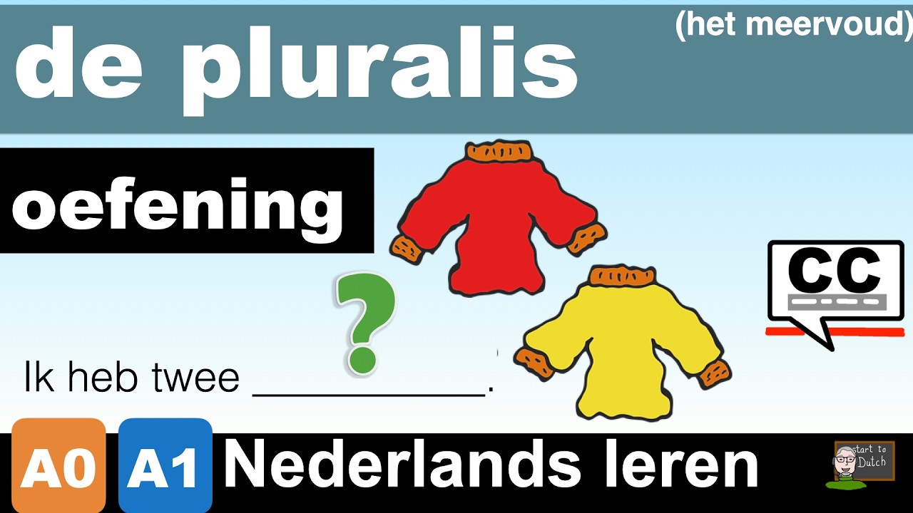 NT2 A2 2.02 De pluralis 🛳️⛴️ - oefeningen - vul in - NEDERLANDS LEREN Learn Dutch A1 12.06 meervoud