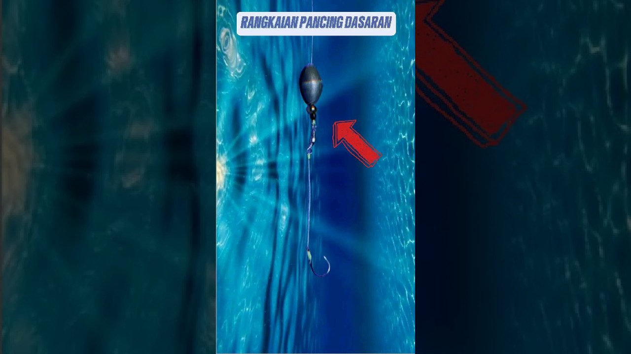 Rangkaian Pancing Dasar Paling Sensitif  #rangkaianpancing #fishing #fishingknot #fishingknot