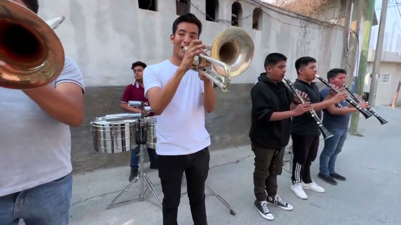 La feria de las flores ( Instrumental )