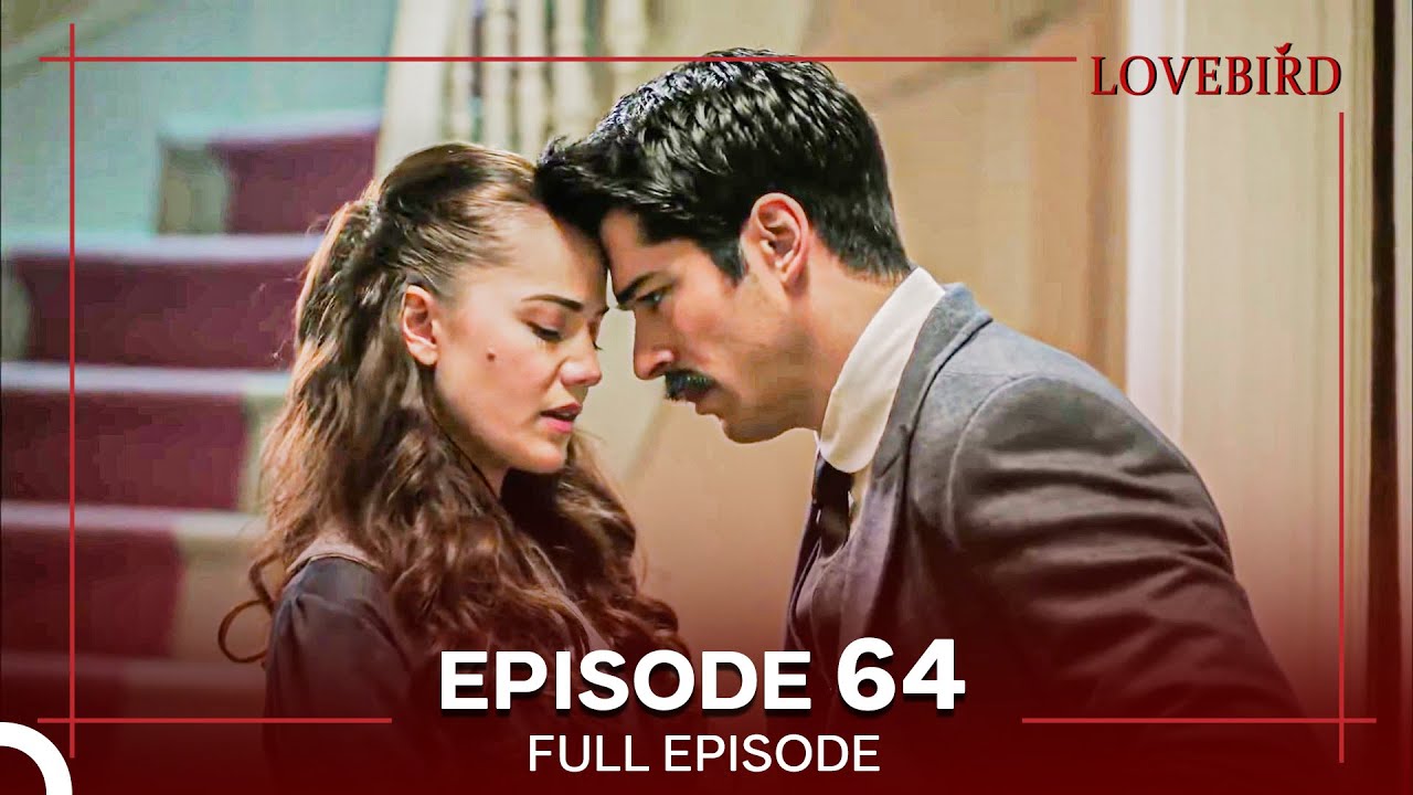 Lovebird Episode 64