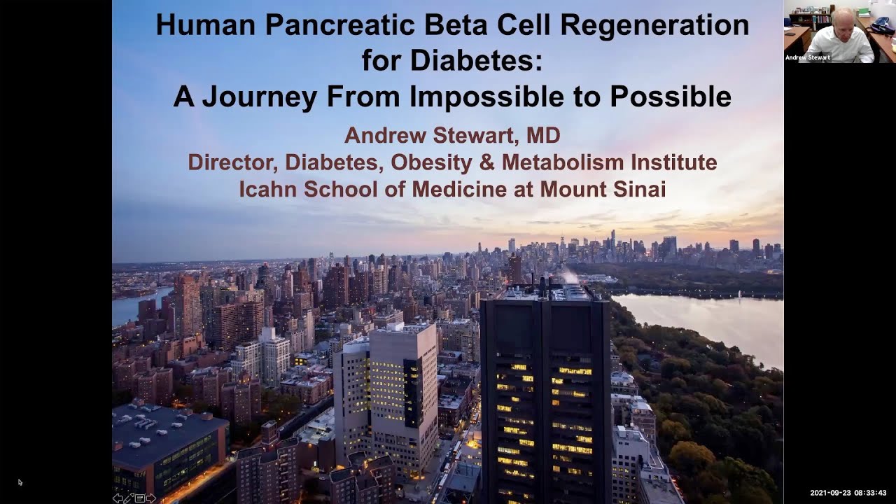 Human Pancreatic Beta Cell Regeneration for Diabetes: A Journey from Impossible to Possible