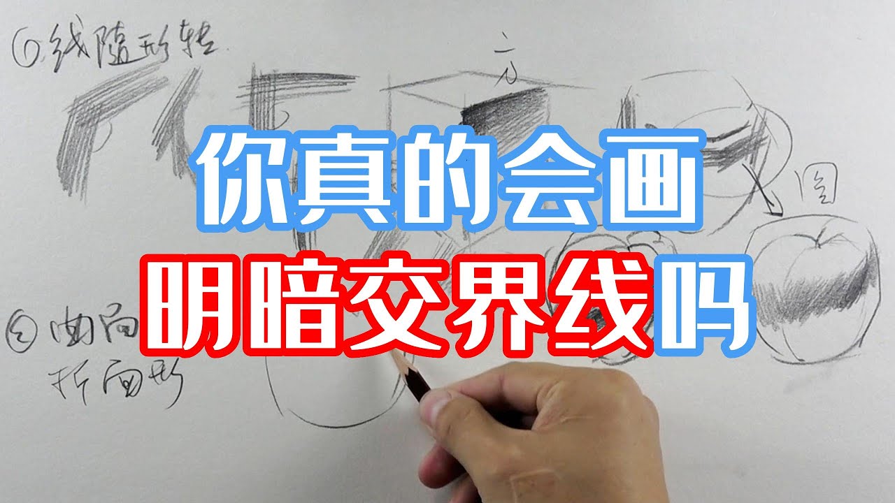 明暗交界线到底是什么？零基础素描入门教程