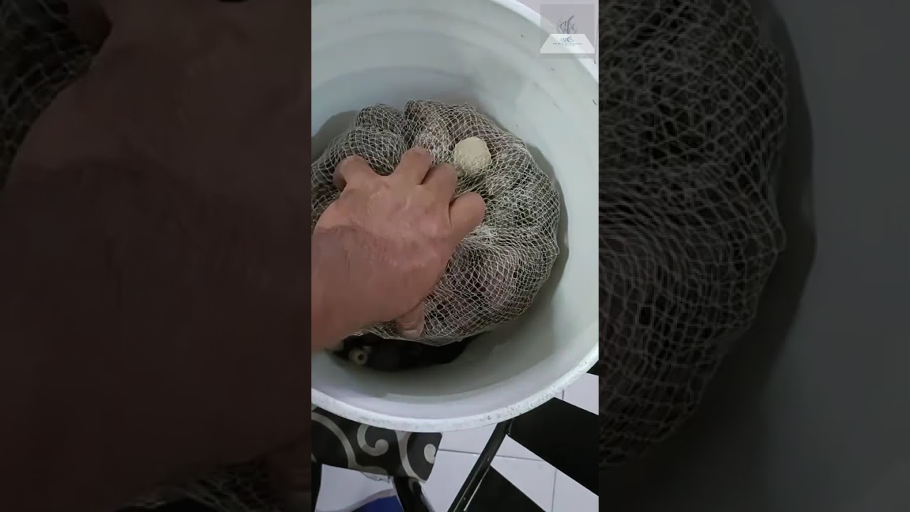 Fabricación de filtro casero para peces goldfish 