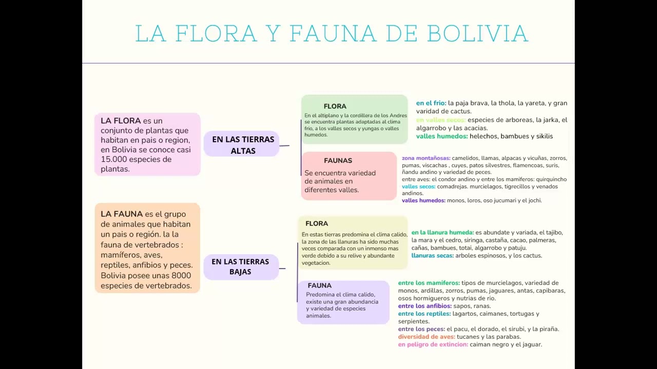 LA FLORA Y FAUNA DE BOLIVIA