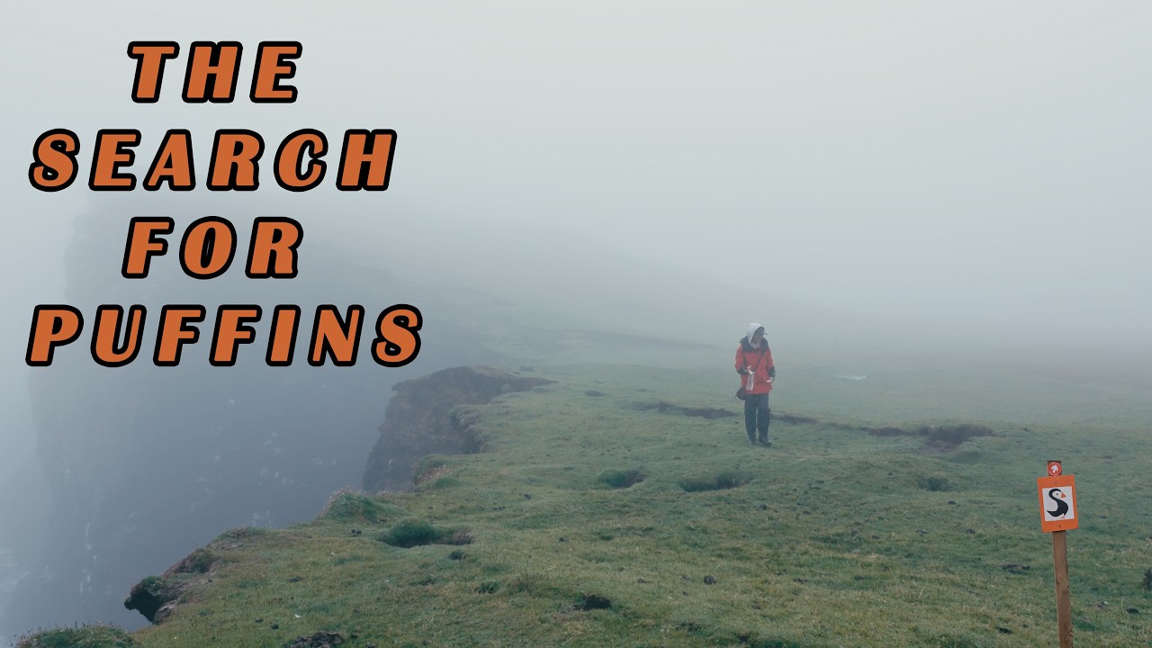 Sailing Scotland: Skye to Oban | Canna Puffin Search & Dolphin Sunset