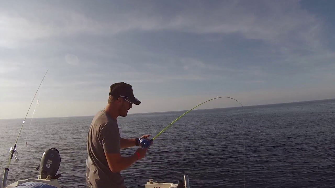 Pliure en direct de Denti canne Truscend Colortempt