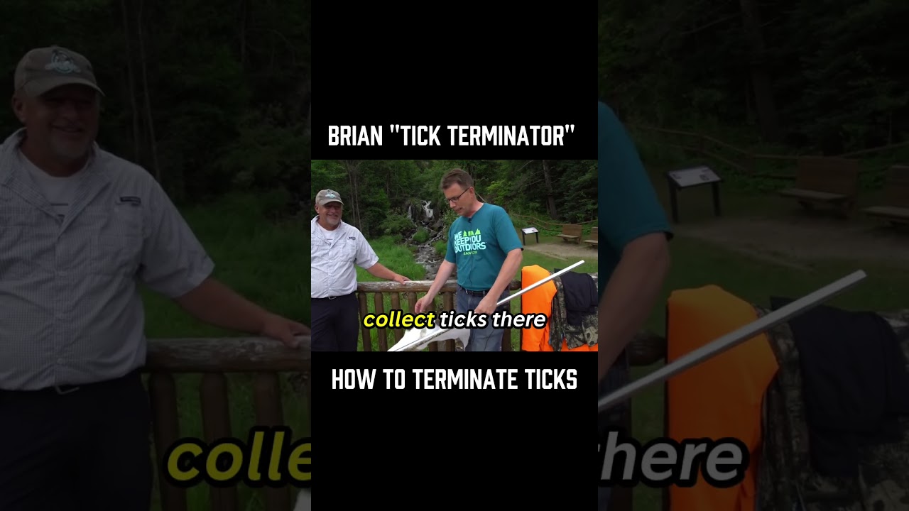 THE TICK TERMINATOR! 