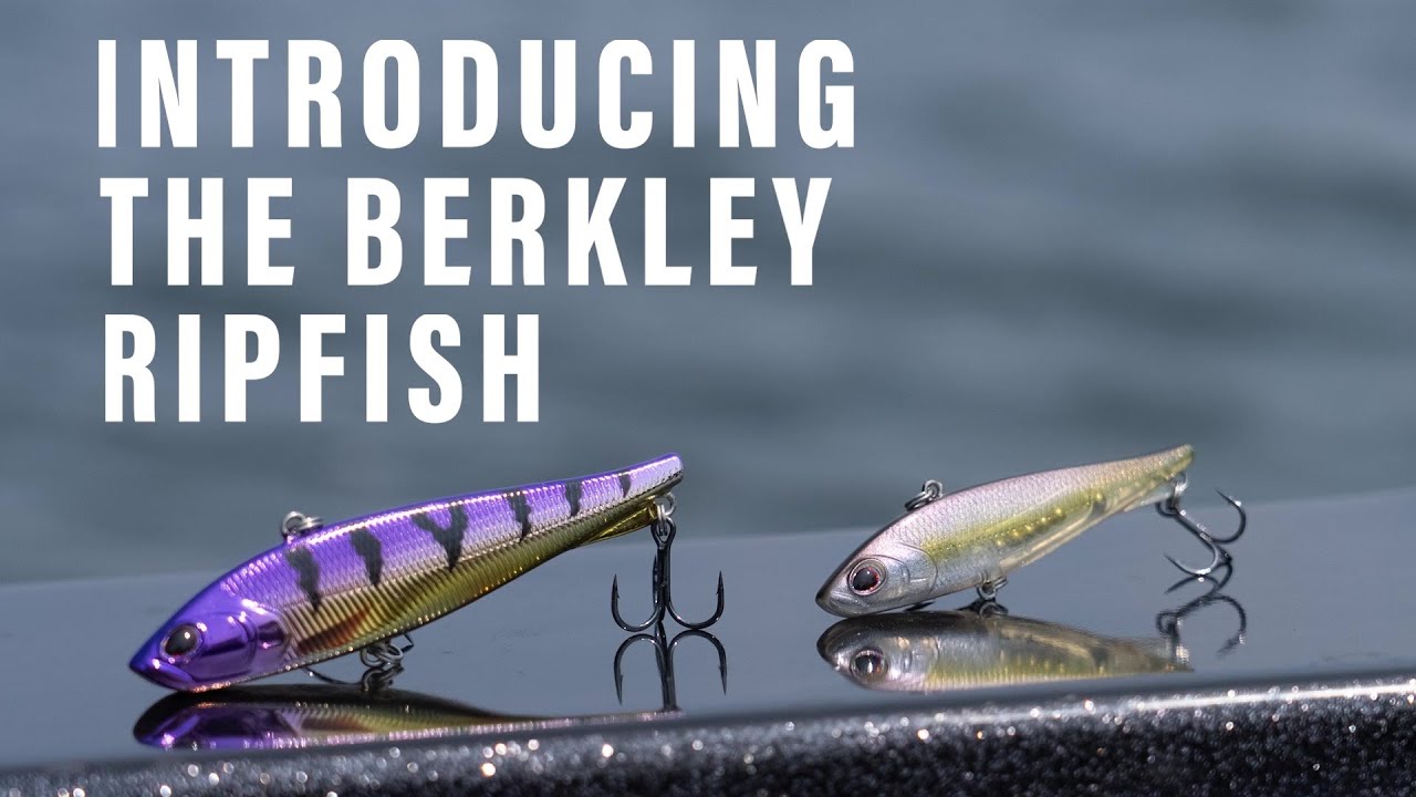 Дайте волю науке: встречайте совершенно новый Berkley Ripfish