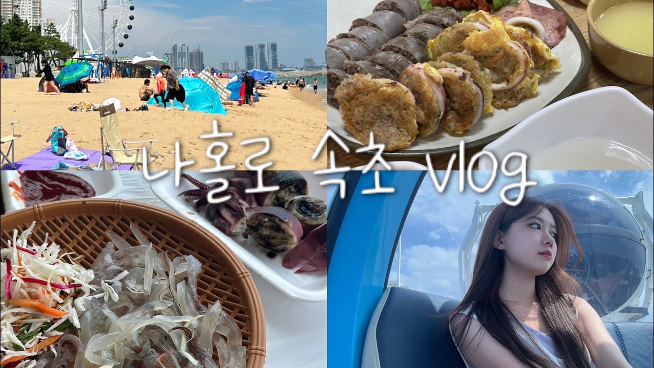 나홀로 속초 vlog / 여자 혼자 속초 여행 / 혼자 가기 좋은 술집 추천(오징어회, 오징어순대, 속초 물회, 속초아이, 서점투어)