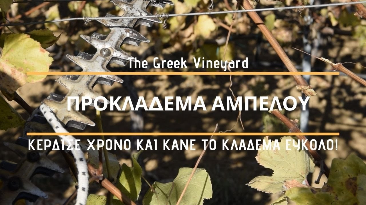 Αμπέλι | Προκλάδεμα - Κάνε το κλάδεμα πιο ευκολο! | Vineyard Pre-Pruning