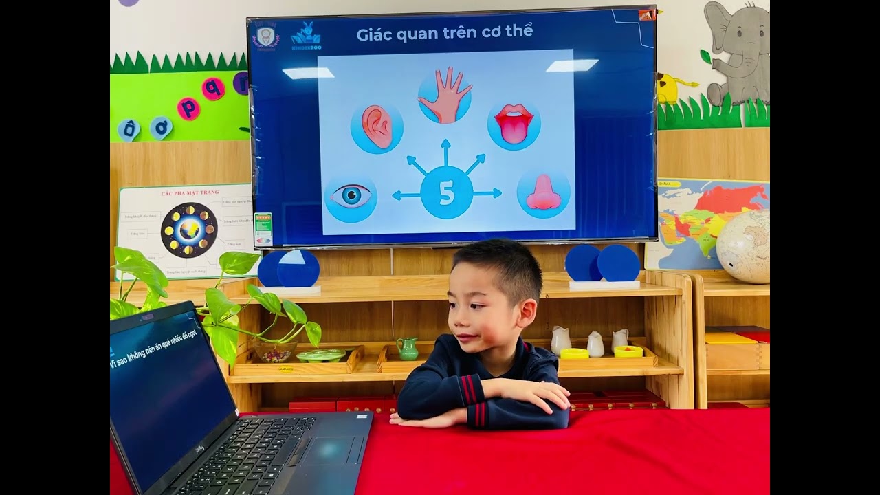 Tuấn Minh - Kết quả học kì I