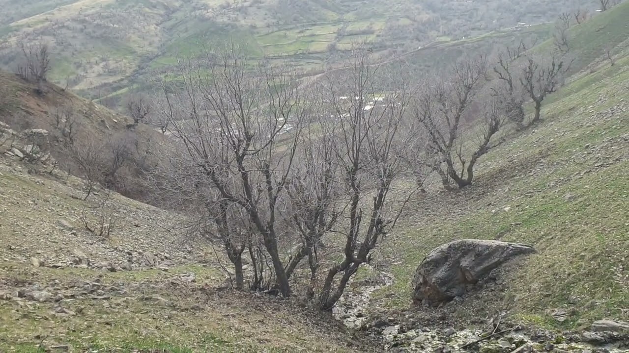 سەرچاوەی سوڵێ گوندی بێورێ 
