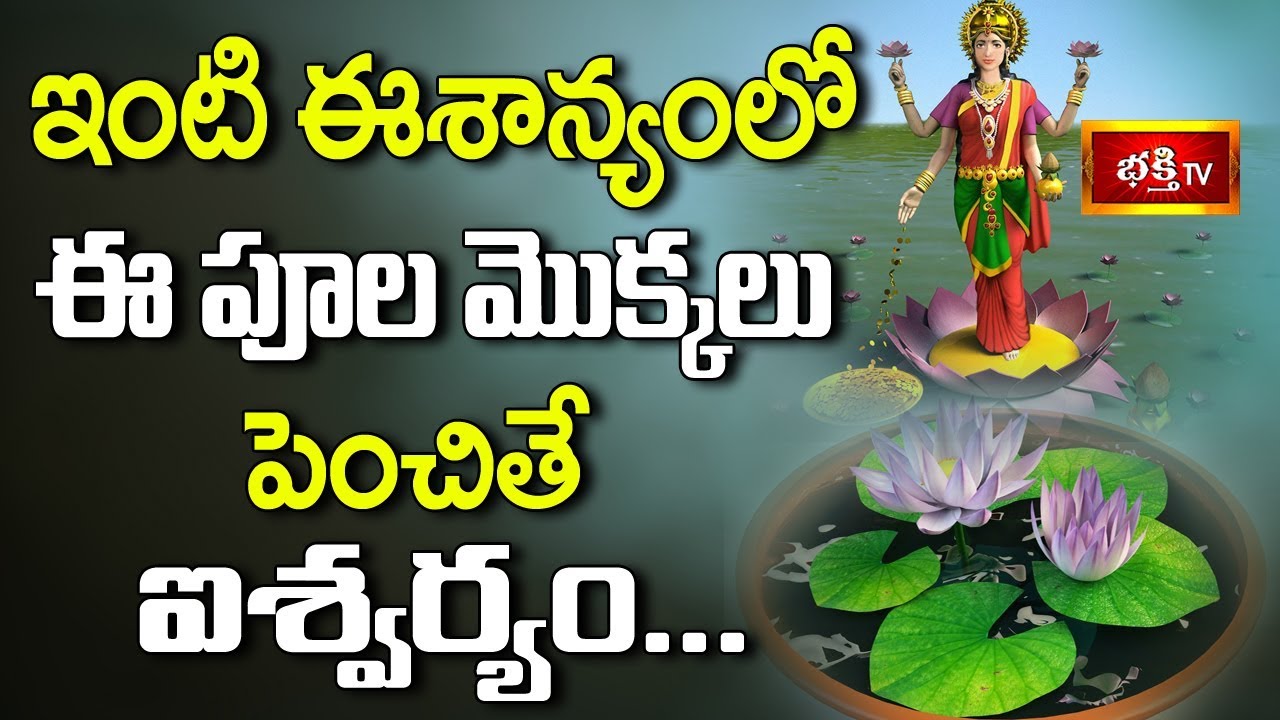 ఇంటి ఈశాన్యంలో ఈ పూల మొక్కలు పెంచితే ఐశ్వర్యం || Dharma Sandehalu || Bhakthi TV