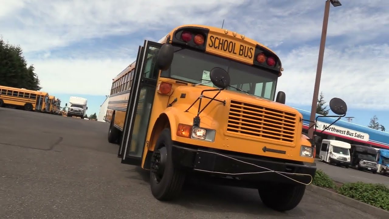 2004 International Blue Bird Conventional 72 Passenger School Bus - B73702