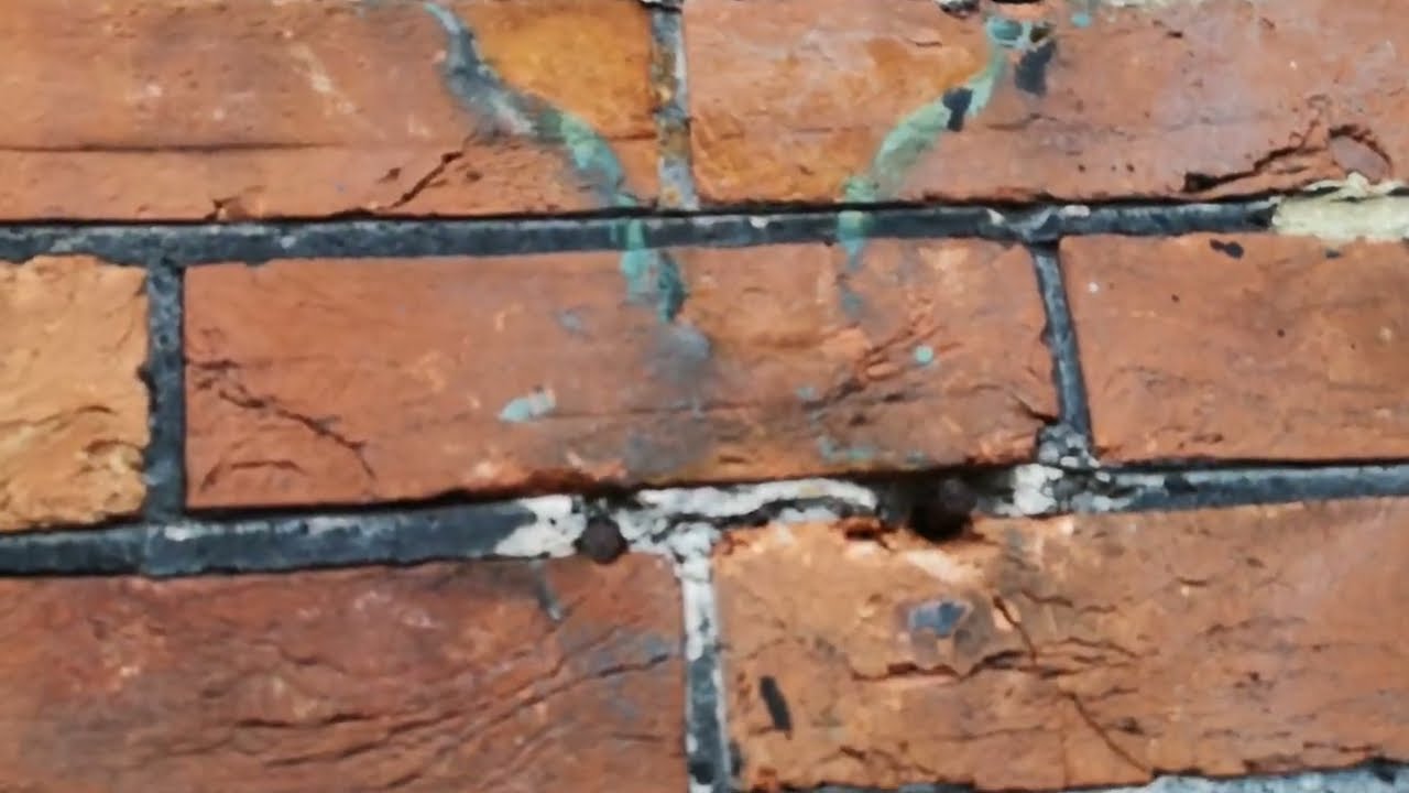 Building Survey of historic building in Sussex - structural movement and damp diagnosis.