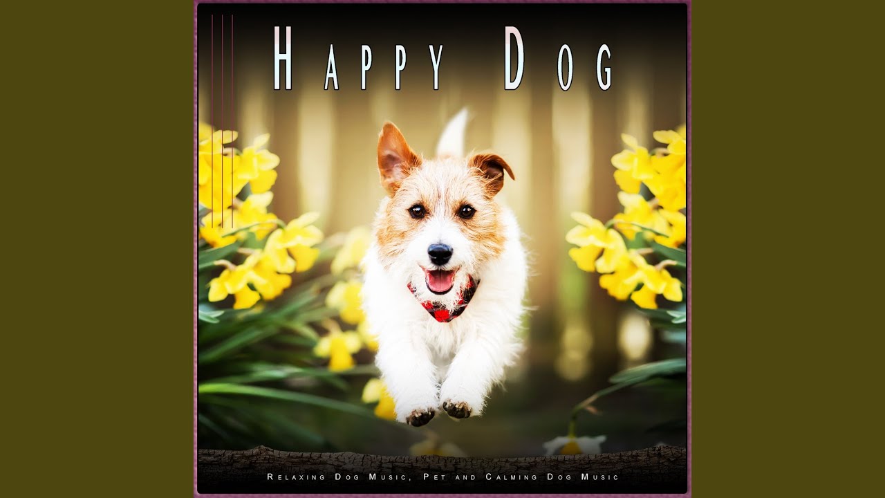 Sleeping Dog Music