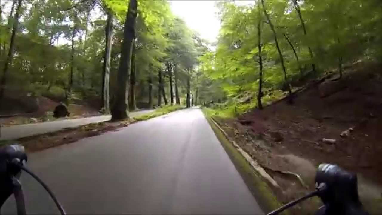 Omgeving Arnhem en Hoge Veluwe met de racefiets