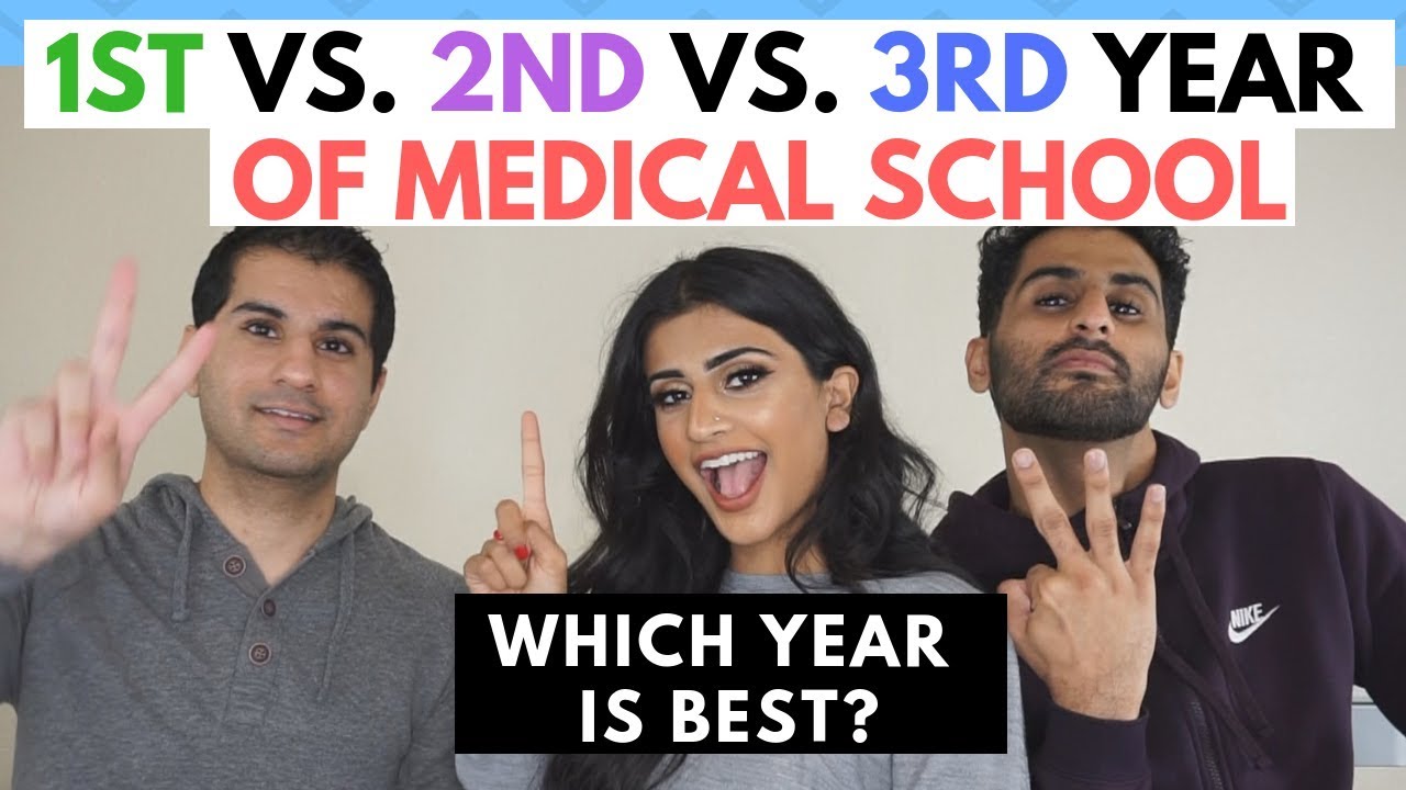 1st vs 2nd vs 3rd Year Medical Student Comparison