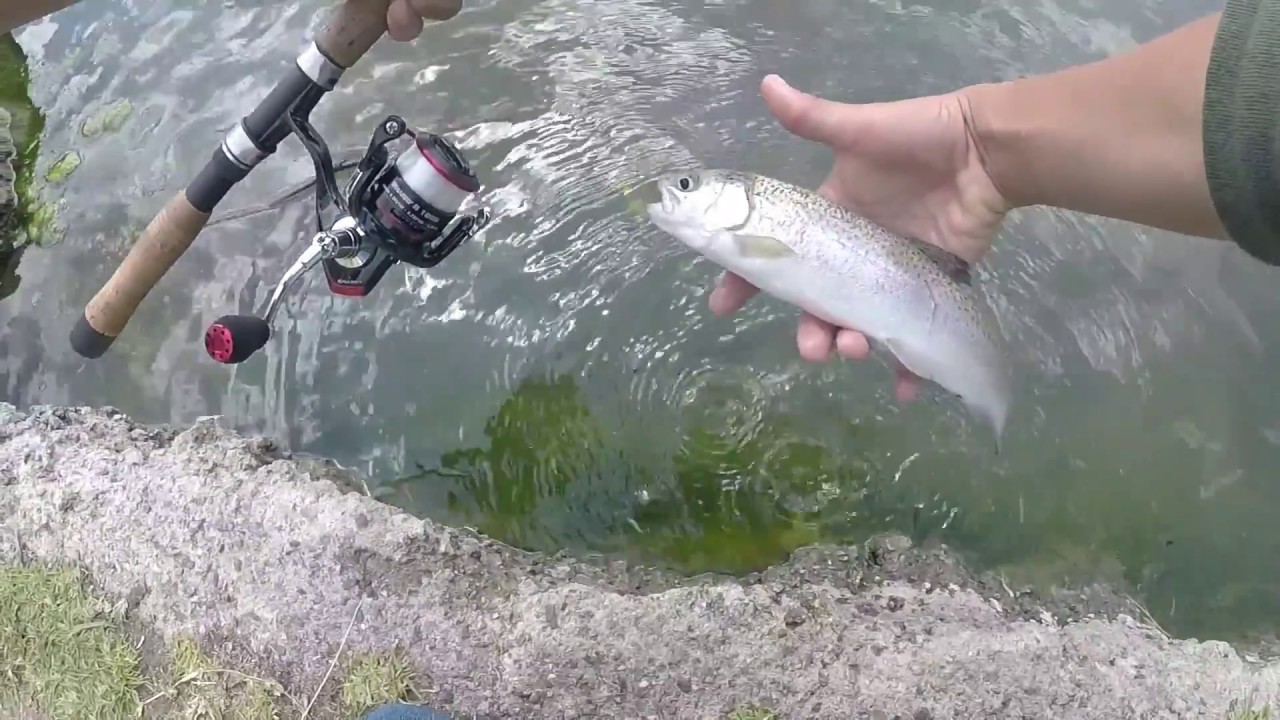 How to go Trout Fishing at a Stocked Pond - Best Way to Catch Stocked Trout Video - KastKing