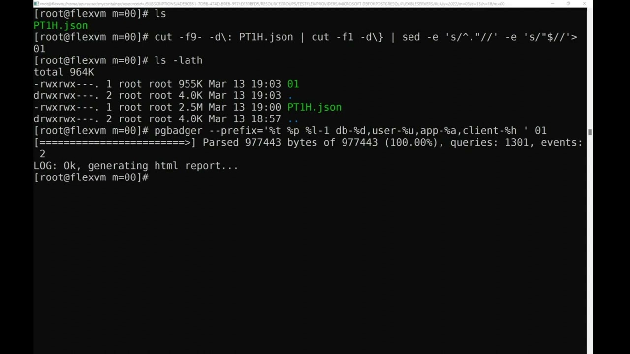 Generate pgBadger from Azure Database for PostgreSQL - Flexible Server logs