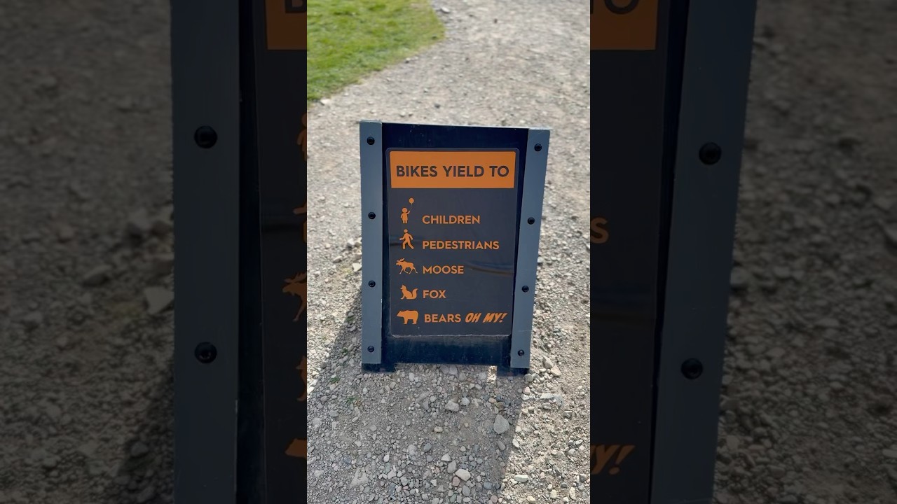 Uwaga na lisy🦊, łosie🫎 i niedźwiedzie🐻 Kolarstwo g&oacute;rskie 🚵&zwj;♀️ w stanie Montana #stanyzjednoczone