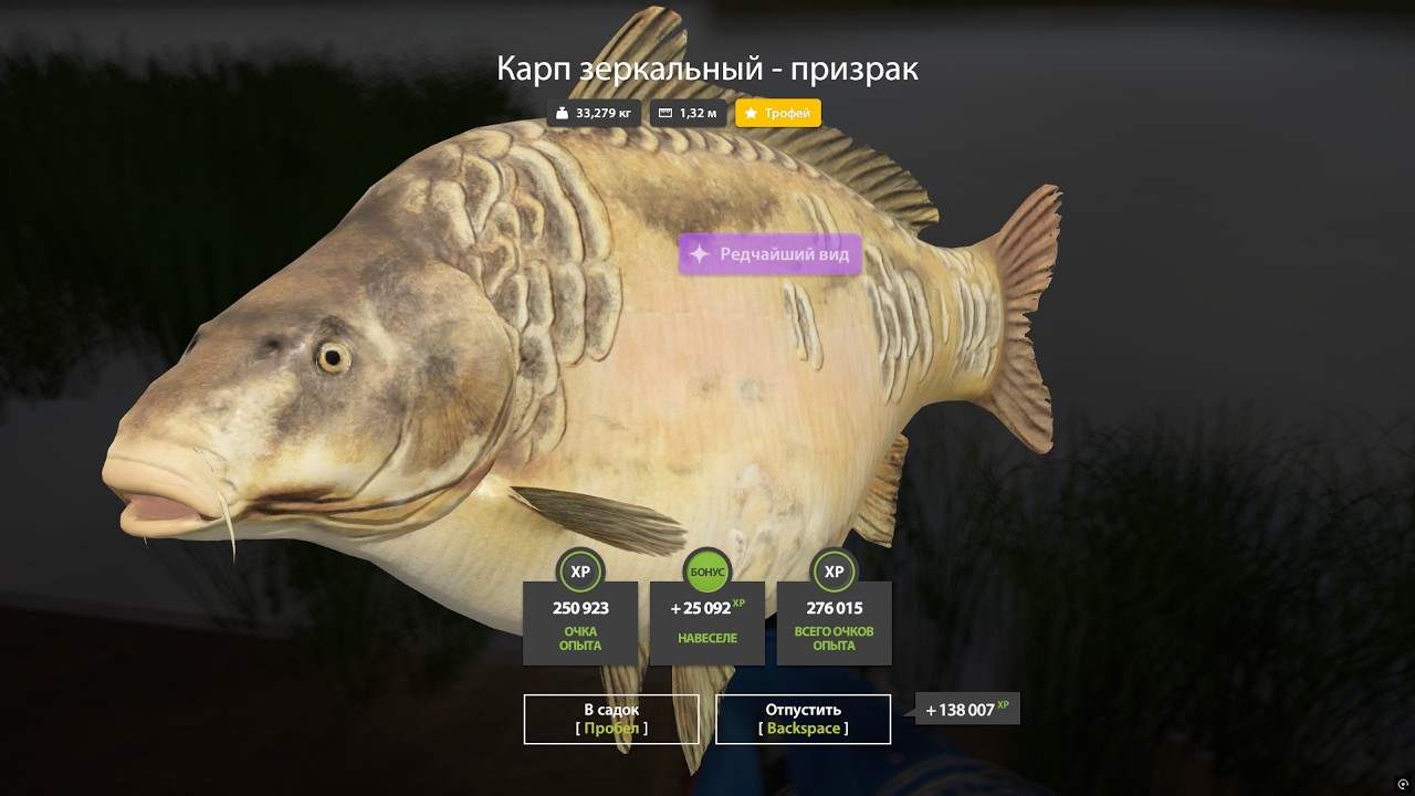 Трофейный Зеркальный Призрак 33 Кг - Русская Рыбалка 4