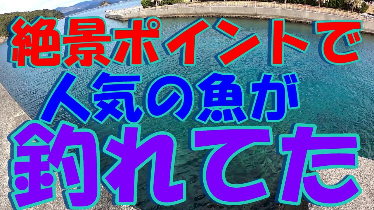 【三重県釣りポイント】宿田曽漁港と大突堤、人気の魚が釣れてましたよ！2月上旬