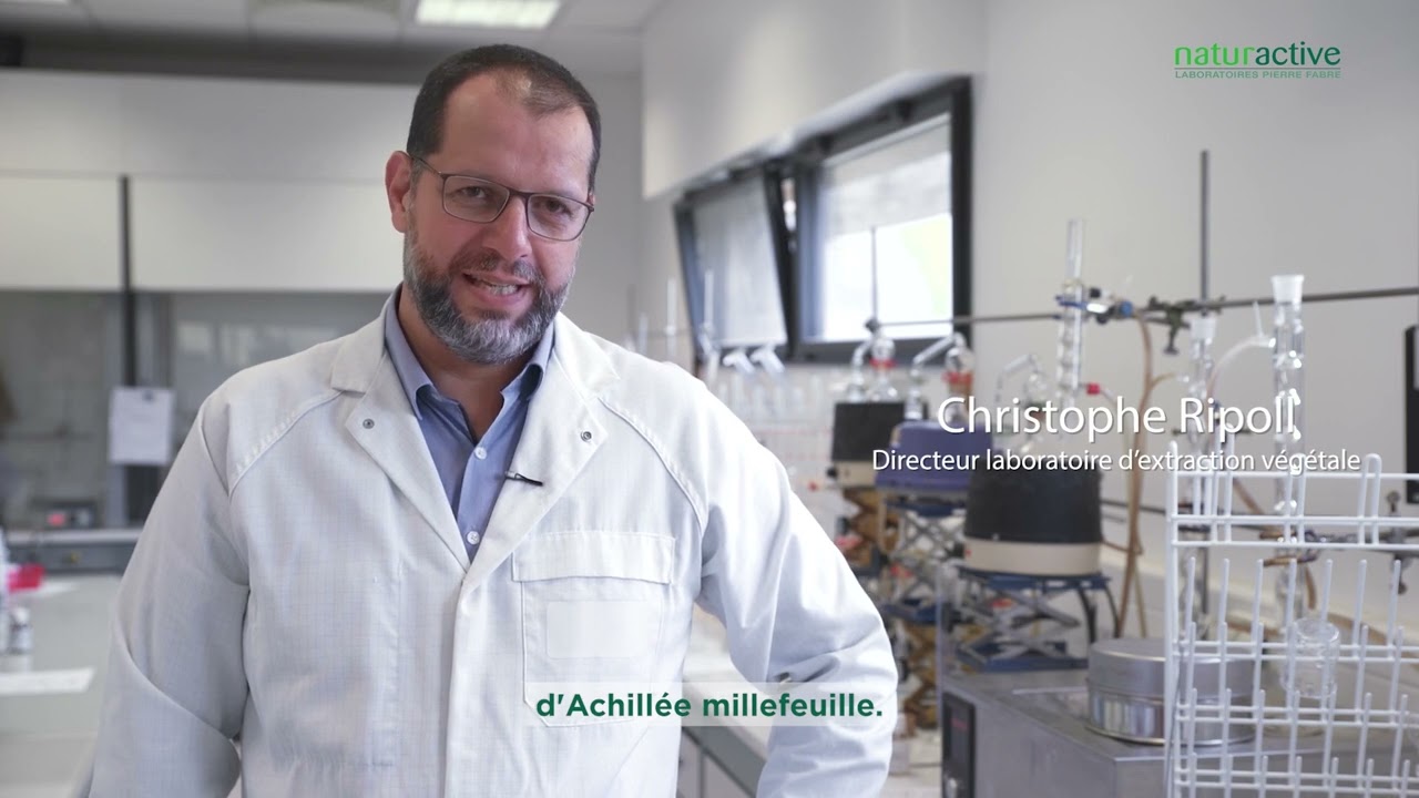 Achillée millefeuille et règles douloureuses