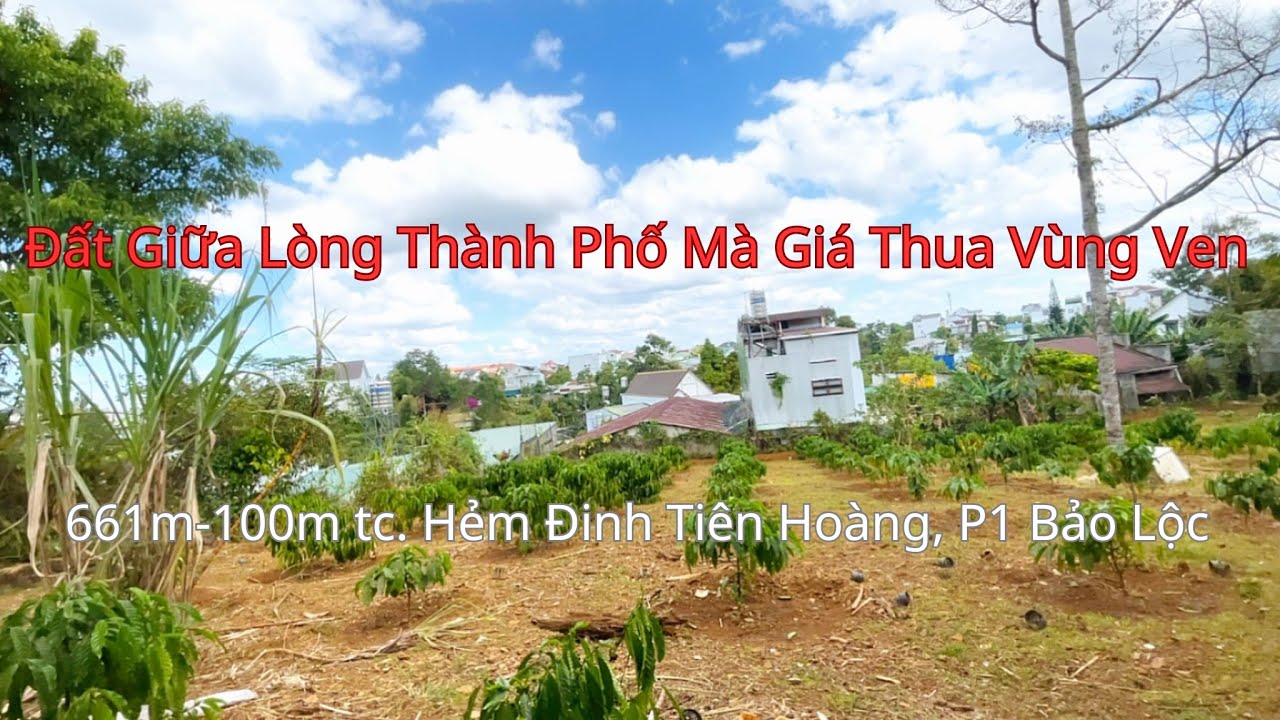 ( 215) 🎊Tìm lô thứ 2 chắc không có giá này| Cù Hương- BẢO LỘC LAND