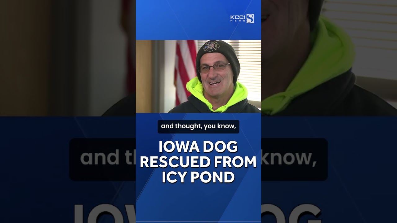 WATCH: Quick-thinking rescuers save freezing dog from icy Iowa pond