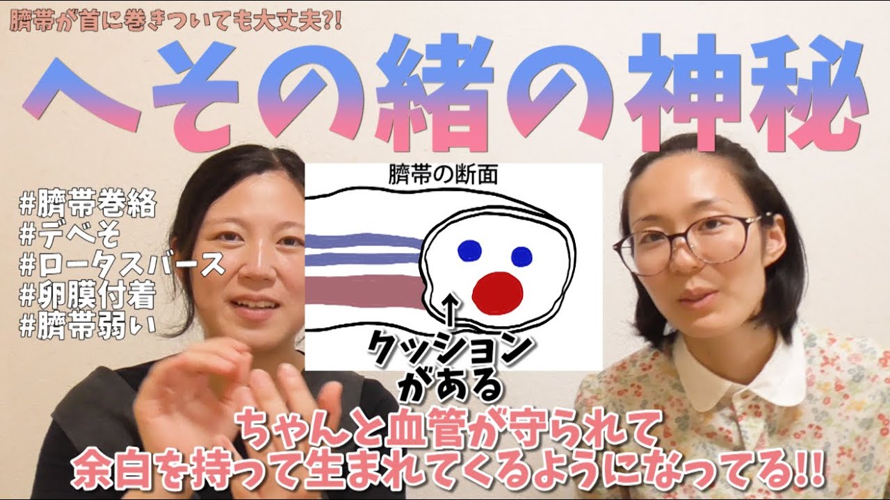 助産師が「へその緒の神秘」と異常時の状況について解説してみた