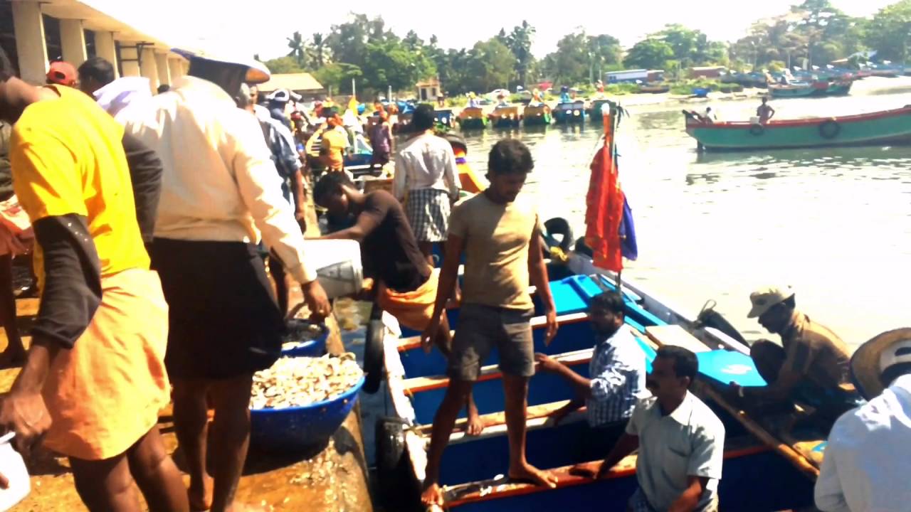 The Neendakara Harbour