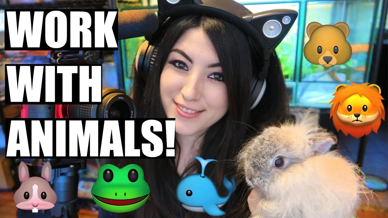 How To Get A Job With Animals