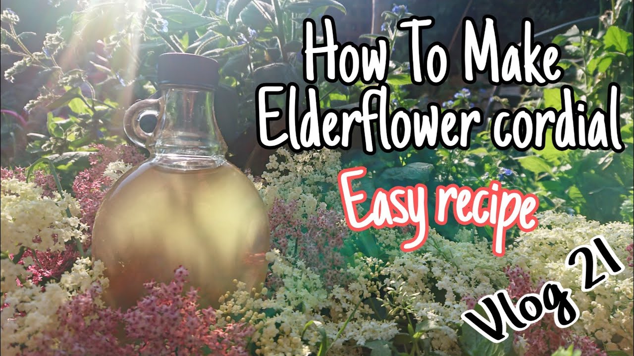 Elderflower Cordial Step By Step Easy To Make Recipe