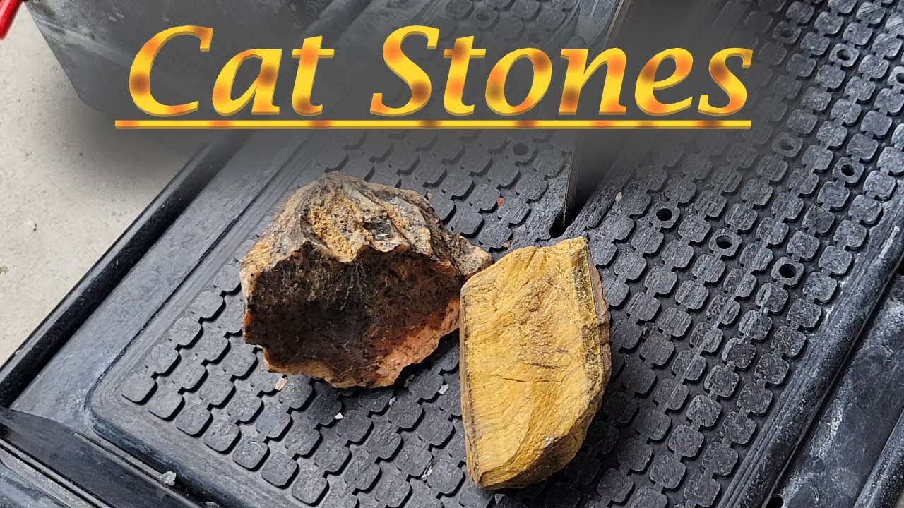 Cutting and Cabbing Cat Named Rocks, Tiger Eye and Cheetah Stone, #167, #168 and #169 Cabochons.